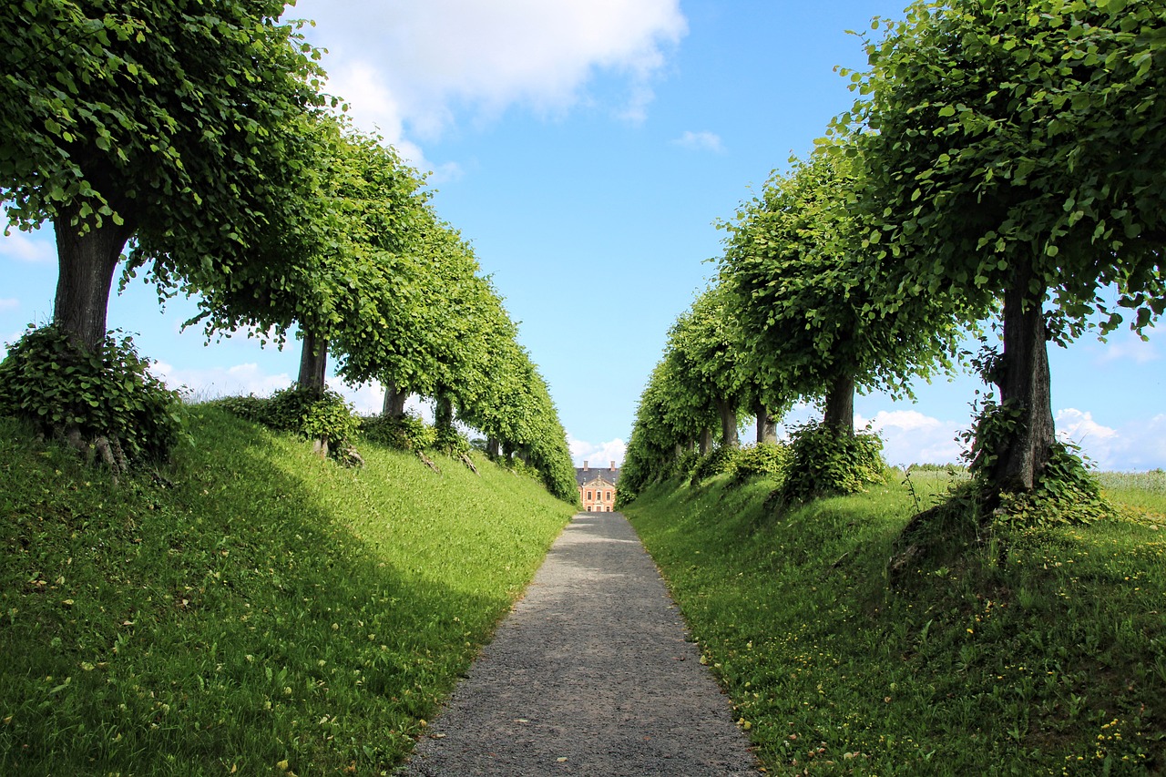 castle, avenue, trees-5511046.jpg