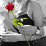 red rose, love, romantic