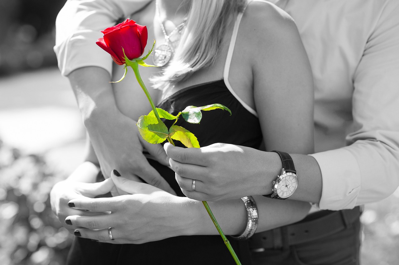 red rose, love, romantic